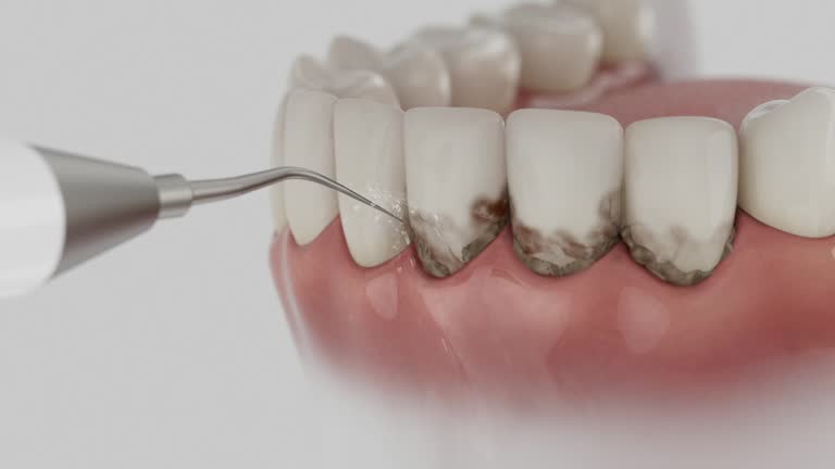 Reliable Emergency Dentist contractor in Clarke County County, VA by Dentist Open Now